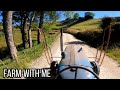 Scenic tractor drive to make some old fashioned hay - New Zealand - Relax Farming