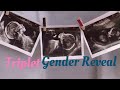 *EPIC* SURPRISE TRIPLET GENDER REVEAL!