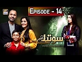 Soteli episode 14  ary digital drama