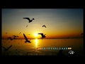 Beautiful sunset view with melody song | sunset whatsapp status
