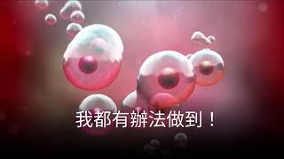 CD34 幹細胞推廣（二）