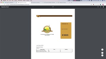 View / Download options in the FT button for Salesforce