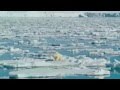 To The Arctic 2012 IMAX 3/3 (Exclusive)