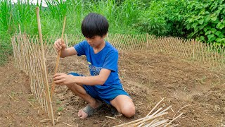 Orphan. Bring the bamboo home and divide it into small pieces. Make a fence for the vegetable garden