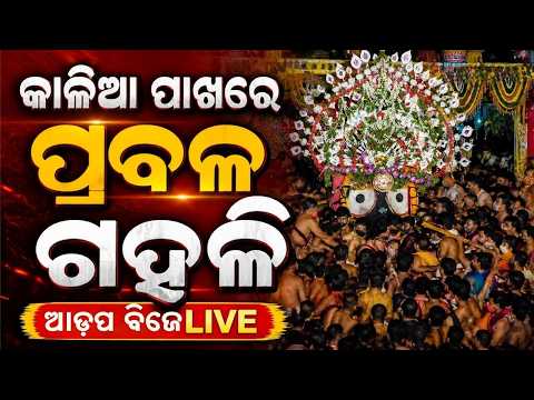 🔴Live | କାଳିଆ ପାଖରେ ପ୍ରବଳ ଗହଳି | Adapa Mandap Bije | Rath Yatra 2026 | Jay Jagannath | Argus News