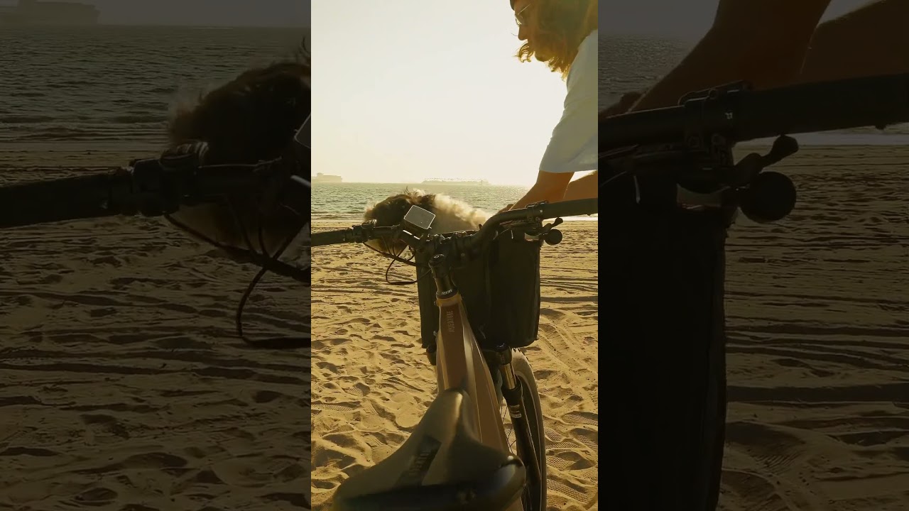 PAPA SHAIN X SOLVENTLESS MOTION PORTO PUNCH