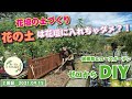 【宿根草＆ローズガーデン】土づくりについて、熱く語ってます！【フェンス作成＆土づくり】