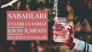 Download Sabahları Uyanır Uyanmaz Ilık Su İçmenin Mucizevi Faydaları Video MP3 Sabahları Uyanır Uyanmaz Ilık Su İçmenin Mucizevi Faydaları