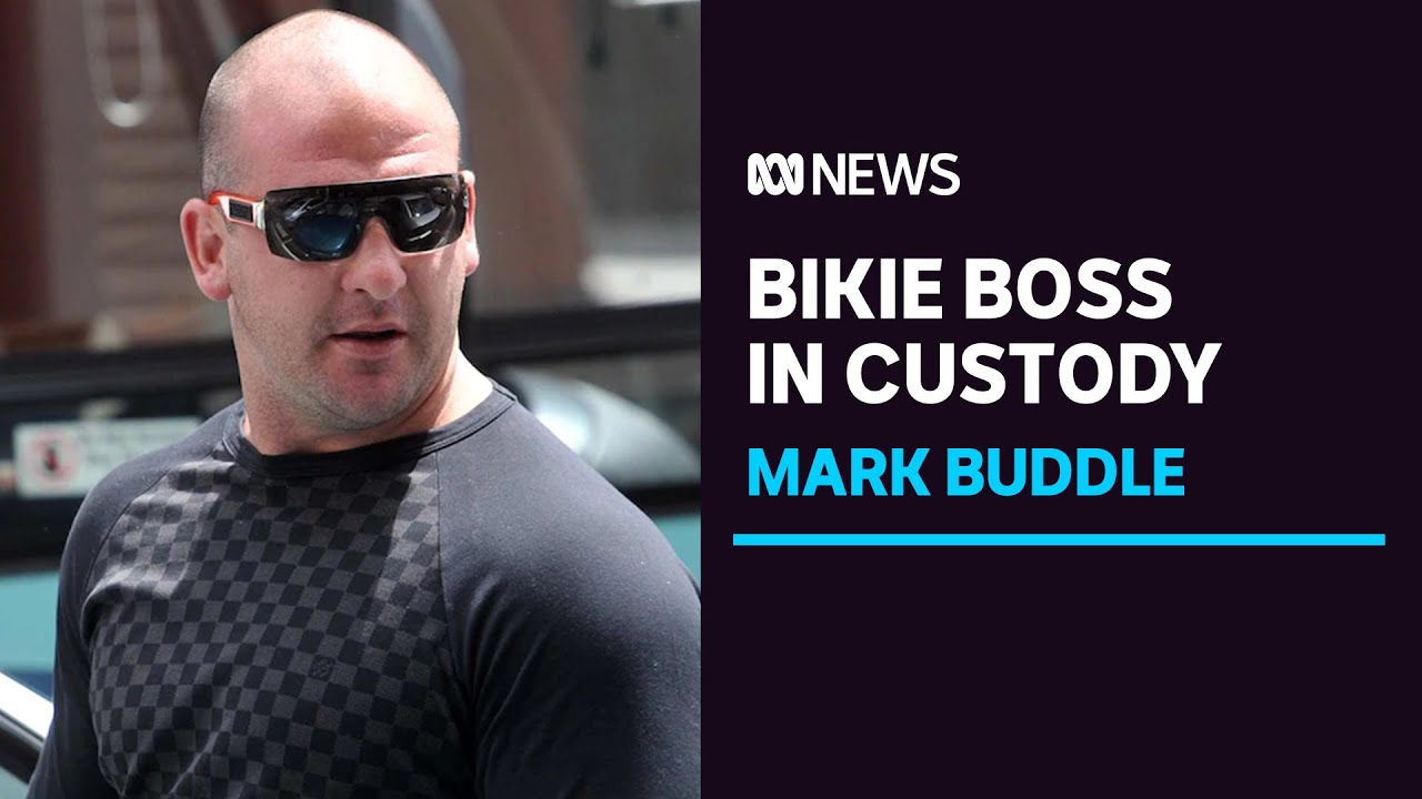⁣Comanchero boss Mark Buddle in police custody, facing extradition from Turkey | ABC News