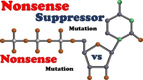 Nonsense Suppressor Mutation vs Nonsense Mutation