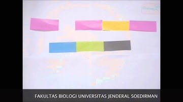 ALTERNATIVE SPLICING RESULT IN DIFERENT MATURE mRNA AND PROTEINS