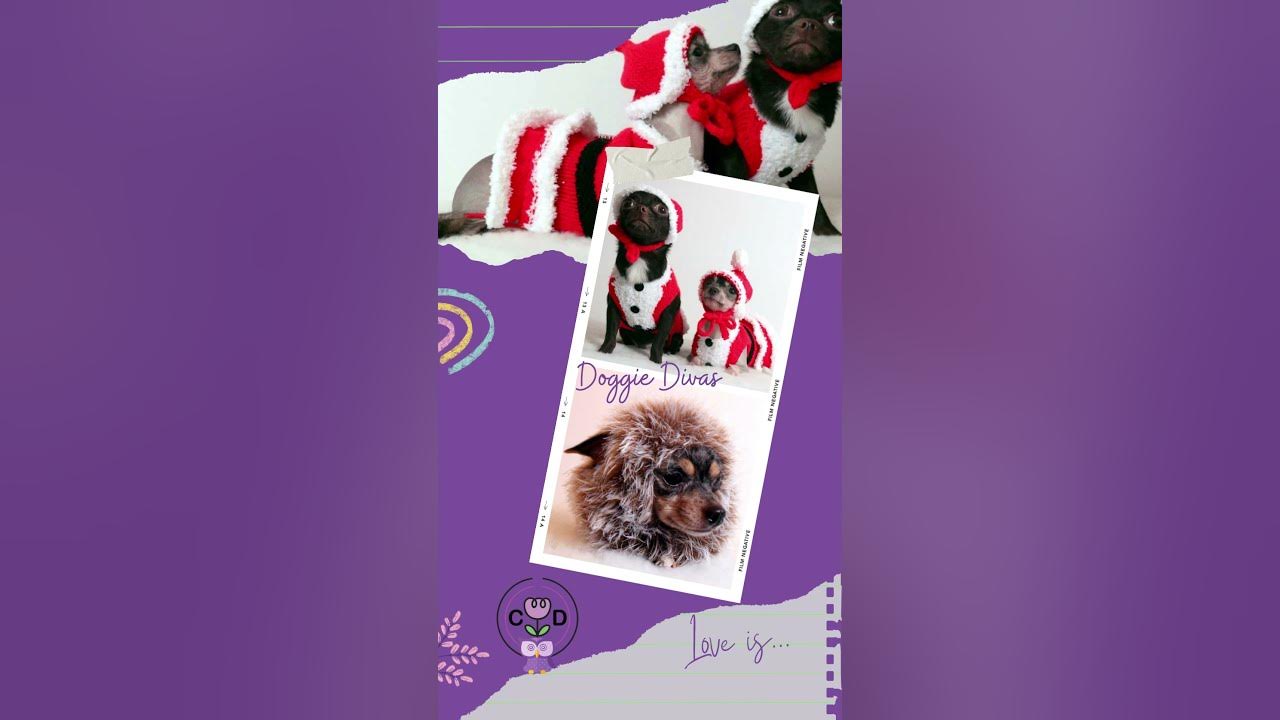 Free Pdf Printable Crochet Patterns To Download For Beginners