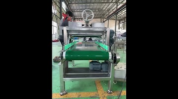 belt conveyor #linkconveyors #automobile #productionline#beltconveyor