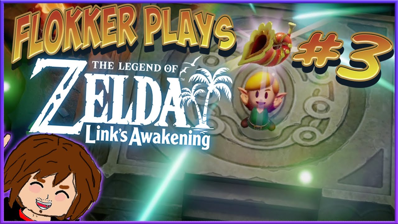 The Legend of Zelda Link's Awakening [Nintendo Switch] Part 3
