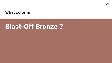 Blast-Off Bronze color #a57164 hex color - Brown color - Cool color a57164