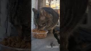 Sevmenin Zamanı Yok I लल Şfet