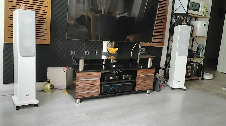 Audia Flight Fl3s & VmvD1se &  Elac Fs 207ae Vocal Sound