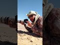 عمرك شفت ابو الفصاد اللي بنغنيله صور اكتر علي انستجرام Https Instagram Com Awaheedwildshots 