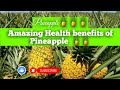 Pineapple amazing health benefits of pineapple benefits of pineapple amal khan creations