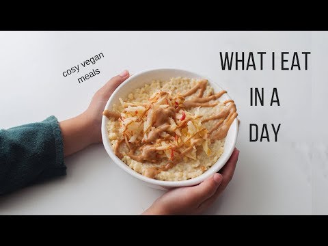 Cozy Vegan What I Eat in a Day!