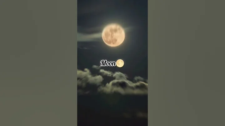 Things I can never hate #viral #trending #aesthetic #shorts #pfp #fypシ