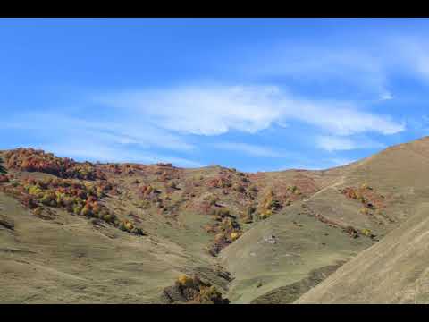 გიორგი გოგოლაური - შემოდგომა/ Giorgi Gogolauri Autumn