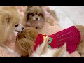 病院に行きたくない理事長 !!