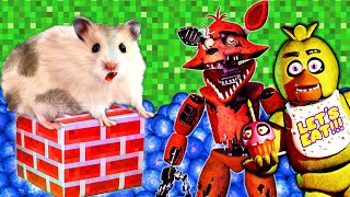 FNAF Minecraft Hamster Maze with Traps Obstacle Course - Five Nights At Freddy's
