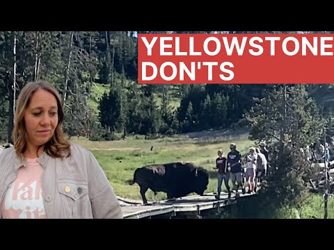 20 blunders to avoid when visiting Yellowstone