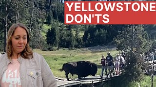 20 blunders to avoid when visiting Yellowstone
