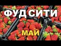 ФУД СИТИ - МОСКВА. обзор цен. МАЙ 2022г