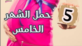 الجنين في الشهر الخامس (تطورات الجنين والام اسبوع بإسبوع)