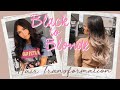 FROM BLACK TO BLONDE - Hair Transformation mit Desinas | PaulinaMary