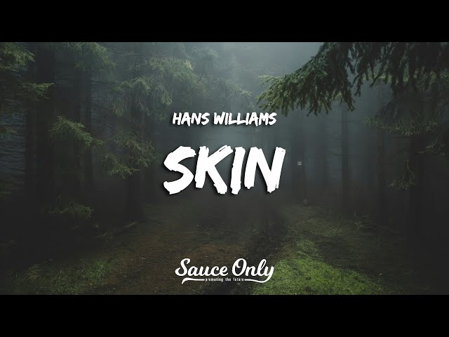 Hans Williams - Skin (Lyrics) class=