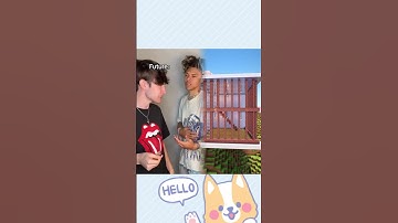 #pov everyday you get a different amount of brain cells…part 27???? #baileyspinn