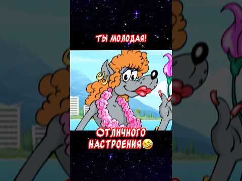 Я твой бродяга и хулиган☝️ Весёлая открытка для отличного настроения👍#весёлаяоткрытка