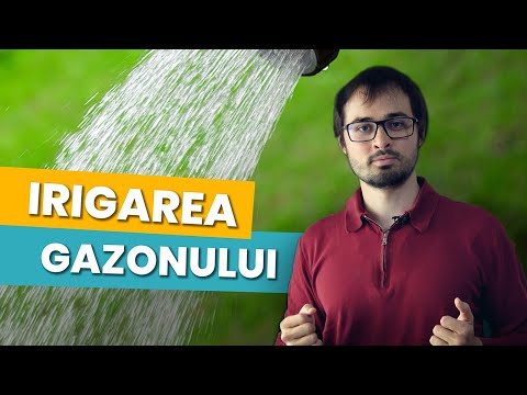 Irigarea gazonului: cum, cât și când?