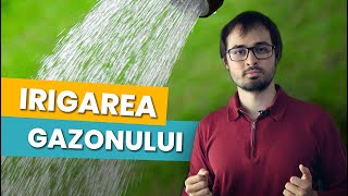 Irigarea gazonului: cum, cât și când?