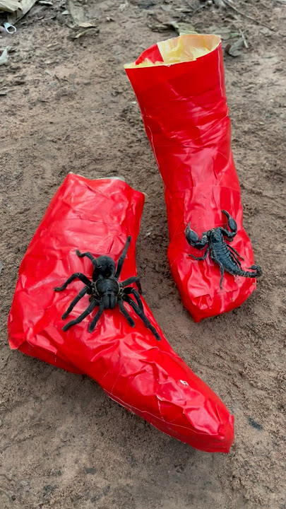 Survival Skills: Simple but very Useful ideas #bushcraft #camping #outdoors #useful #survival #ideas