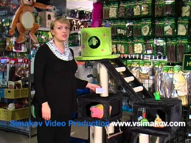 Учебный Фильм По Технологии Продаж В Зоомагазине