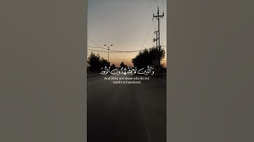 لنتمشى ونستمع 🎧🚶‍♂️…اكتب شيء تؤجر عليه…‏‎#اكسبلور #tree  #قرآن #street #محمد_اللحيدان #سورة_النساء