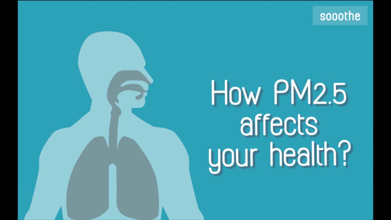 How PM2.5 affects your health? l sooothe...care your life - YouTube