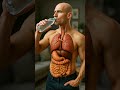 What Happens When You Drink Water Human Body 3D Animation Science