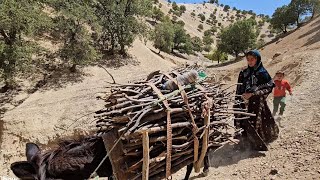 Download Lagu Homesicknessinexile:Soghari and Norbakhsh's efforts to cross high mountains and collect firewood😱😱❤️ MP3 Download Lagu Homesicknessinexile:Soghari and Norbakhsh's efforts to cross high mountains and collect firewood😱😱❤️ MP3