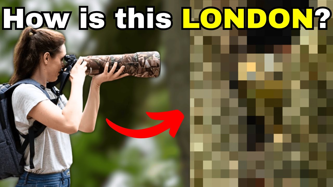 STUNNING Wildlife HIDING in PLAIN SIGHT at Bushy Park POV