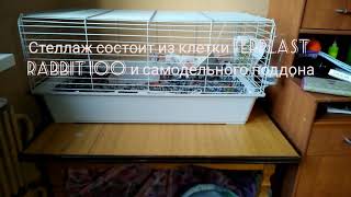 Клетка-стеллаж для морских свинок #1 СТЕЛЛАЖ ЗА 500 РУБЛЕЙ!!! Клетка-стеллаж для морских свинок #1 СТЕЛЛАЖ ЗА 500 РУБЛЕЙ!!!