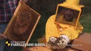 Peut-on se couvrir d'abeilles sans danger? - On n'est pas que des cobayes #cobayesf5