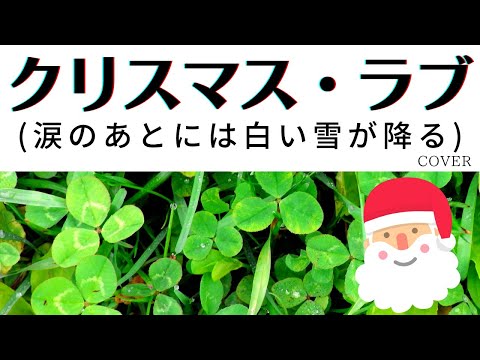 サザンオールスターズ クリスマス ラブ 涙のあとには白い雪が降る Cover