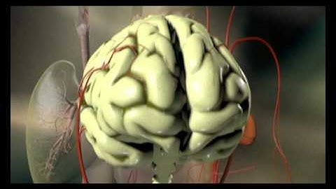 Basic Life Support animation