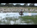 Filme - PANTANAL